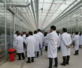永通科技亮相京津冀，共探蔬菜工廠化生產(chǎn)新路徑